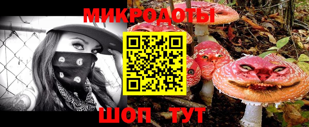 Галлюциногенные грибы Psilocybe Ростов Великий