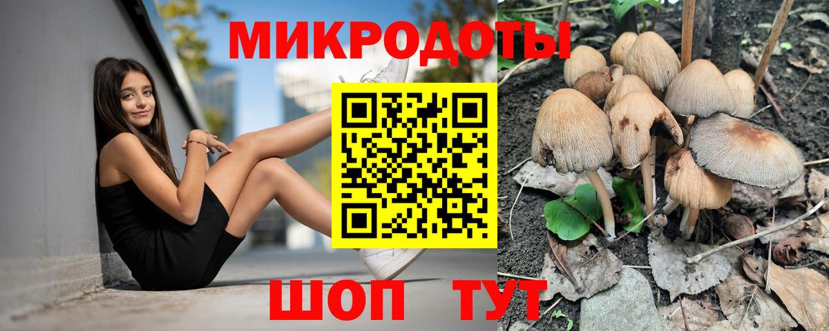 Псилоцибиновые грибы Psilocybe  Вход с VPN  Ростов Великий 
